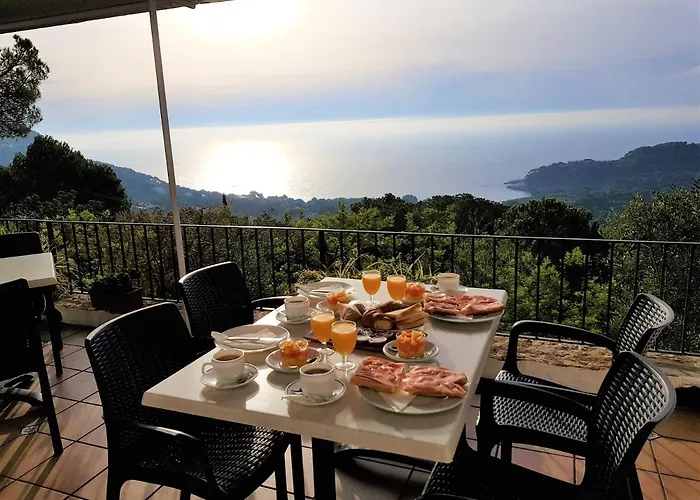 Sa Barraca - Adults Only Hotel 2*