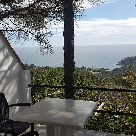 Sa Barraca - Adults Only Hotel 2*