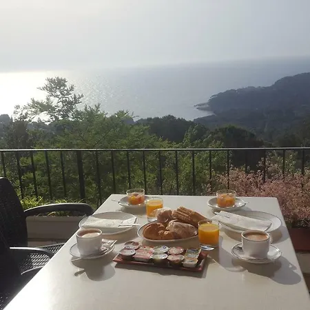 Sa Barraca - Adults Only Hotel