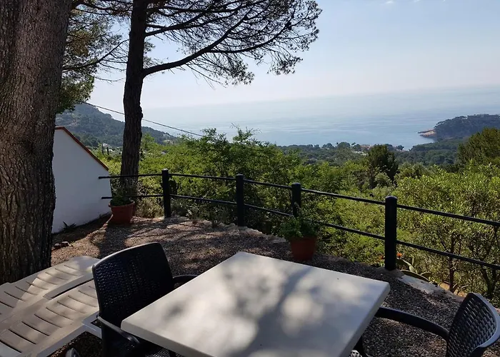 Hotel Sa Barraca - Adults Only